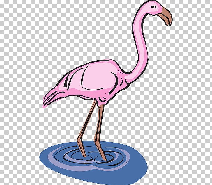 Flamingo Open Water Bird PNG, Clipart, Animals, Beak, Bird, Download, Drinking Water Free PNG Download