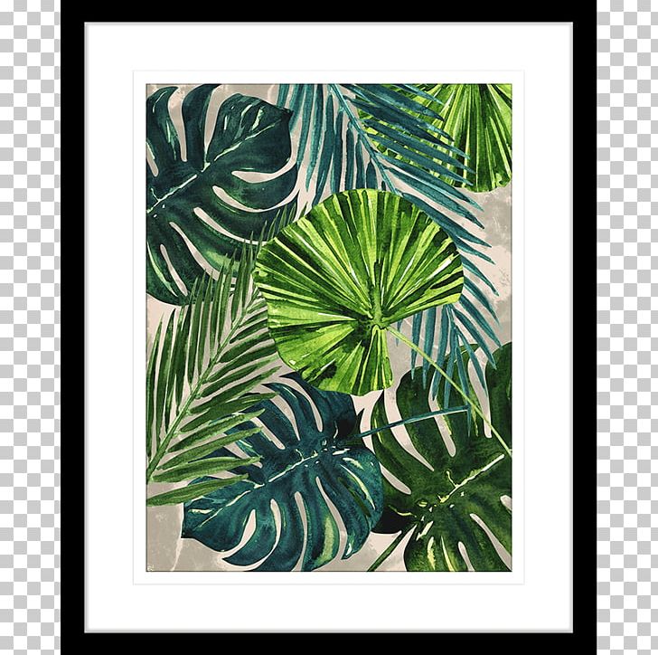 Flora Frames Leaf Plant Pattern PNG, Clipart, Clothing Sizes, Color, Fauna, Flora, Leaf Free PNG Download