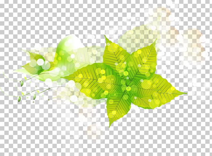 Light Flower Euclidean Petal PNG, Clipart, Art, Beautiful, Brilliant Vector, Computer Wallpaper, Designer Free PNG Download