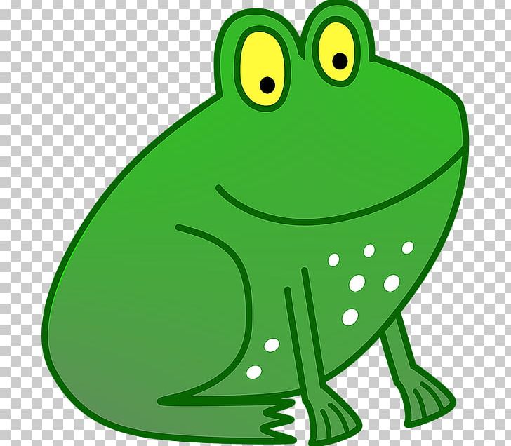 True Frog Toad Tree Frog PNG, Clipart, Amfibi, Amphibian, Animals, Artwork, Child Free PNG Download