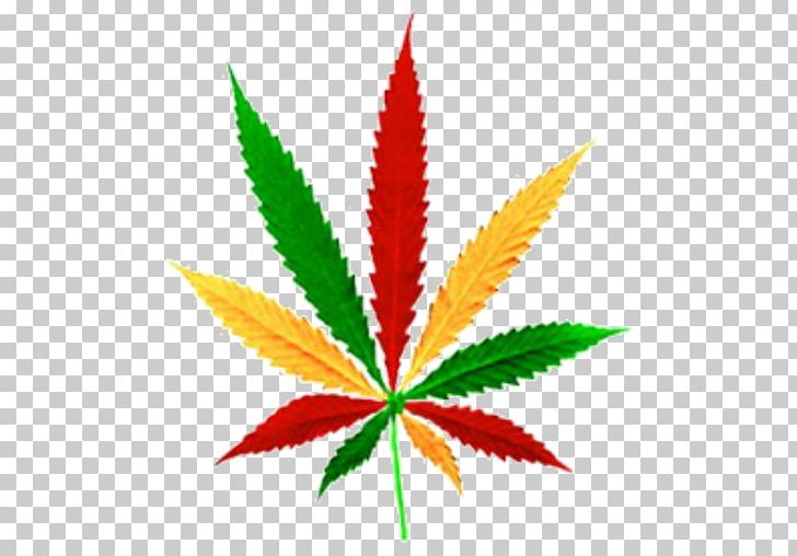 Cannabis Sativa Medical Cannabis PNG, Clipart, Autoflowering Cannabis, Cannabis, Cannabis Ruderalis, Cannabis Sativa, Cannabis Smoking Free PNG Download