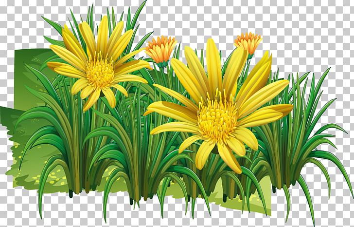 Chrysanthemum Indicum PNG, Clipart, Chrysanthemum Vector, Chrysanths, Daisy Family, Flower, Flower Arranging Free PNG Download