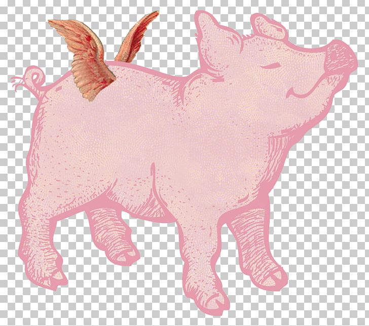 Domestic Pig Christmas When Pigs Fly PNG, Clipart, Animal Figure, Animals, Carnivoran, Christmas, Christmas Decoration Free PNG Download