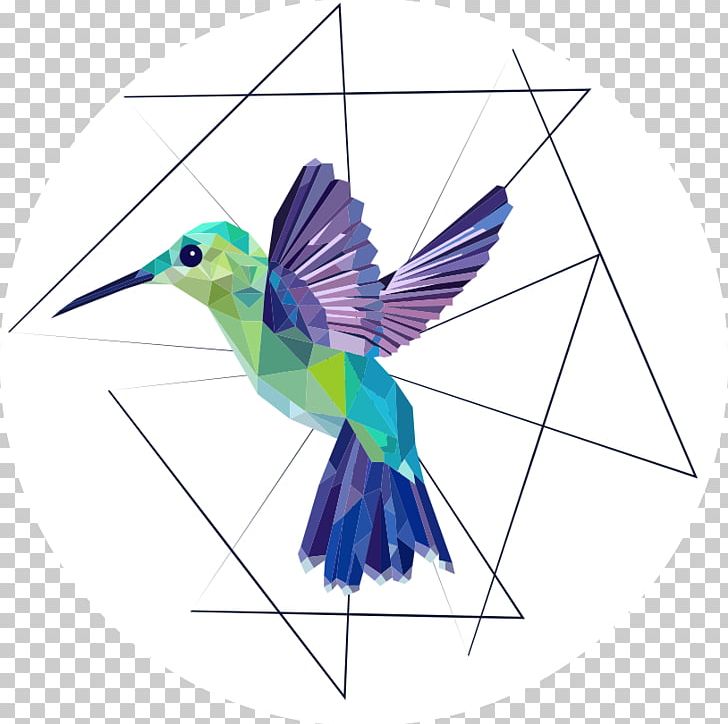 Hummingbird Geometry Golden-tailed Sapphire PNG, Clipart, Animal, Animals, Art, Beak, Bird Free PNG Download