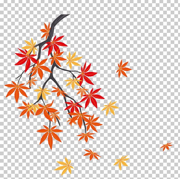 Autumn Leaf Color Maple Leaf PNG, Clipart, Autumn, Autumn Leaves, Autumn Maple Leaves, Botany, Branch Free PNG Download
