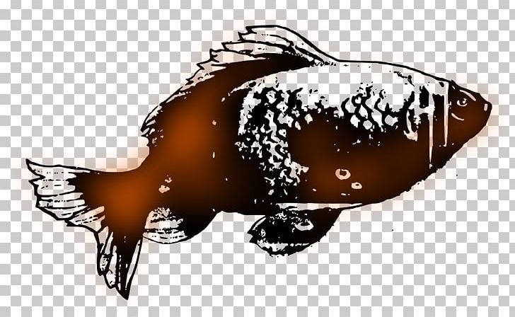 Goldfish PNG, Clipart, Animal, Computer Icons, Drawing, Fauna, Fish Free PNG Download