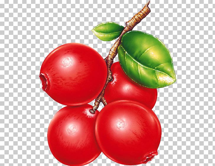 Natural Foods Food Tomato PNG, Clipart, Bilberry, Blueberries, Blueberry, Bush Tomato, Cherry Free PNG Download
