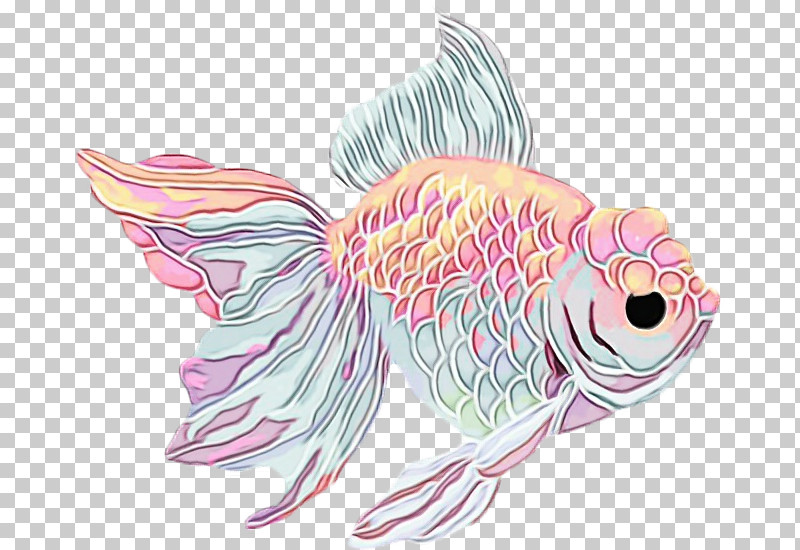 Fish Fish Pink Goldfish Carp PNG, Clipart, Carp, Drawing, Fish, Goldfish, Paint Free PNG Download
