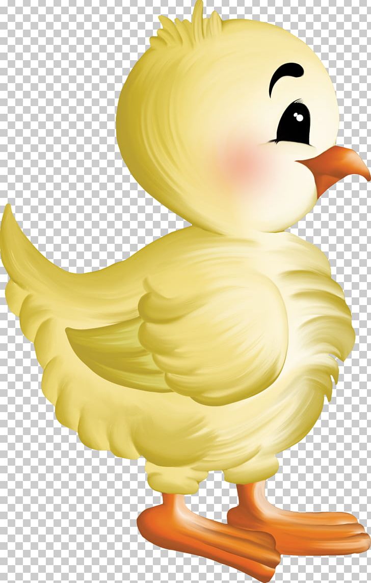 Chicken PNG, Clipart, Animal, Animals, Beak, Bird, Blog Free PNG Download