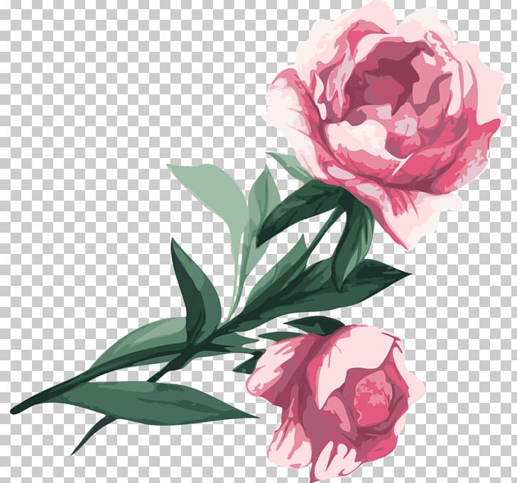 Garden Roses Cabbage Rose Peony Flower PNG, Clipart, Camellia, Cut Flowers, Floral Design, Floristry, Flower Free PNG Download