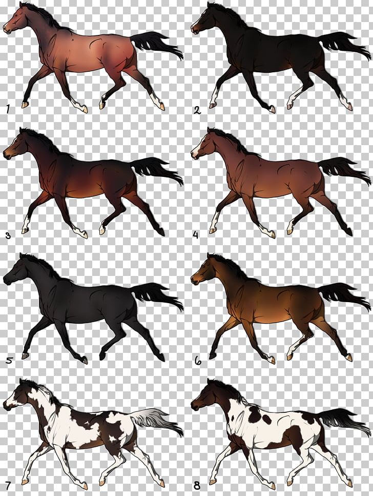Mustang Mare Foal Stallion Horse Tack PNG, Clipart,  Free PNG Download