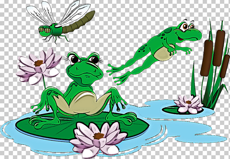 Frog True Frog Tree Frog PNG, Clipart, Frog, Tree Frog, True Frog Free PNG Download