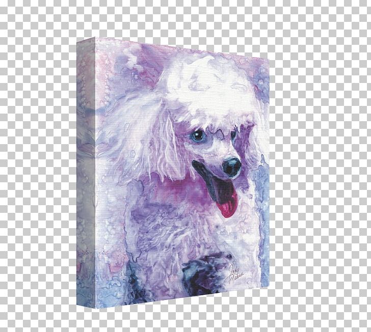 Miniature Poodle Dog Breed Snout Purple PNG, Clipart, Art, Breed, Canvas, Carnivoran, Dog Free PNG Download