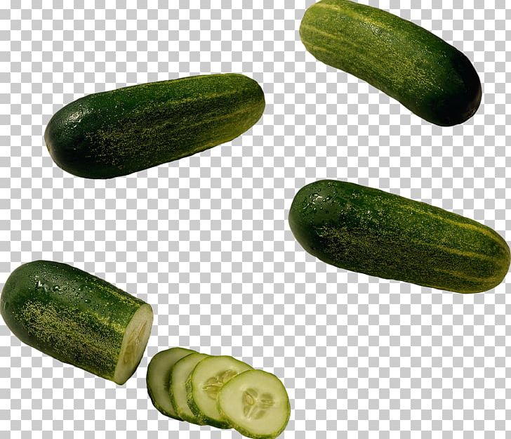 Pickled Cucumber Seed Fennel Vegetable PNG, Clipart, Apiaceae, Bell Pepper, Cucumber, Cucumber Gourd And Melon Family, Cucumis Free PNG Download