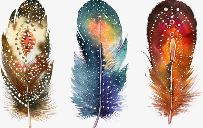 Fancy Feathers PNG, Clipart, Animal, Beautiful, Beautiful Animal Feathers, Bird, Bird Feathers Free PNG Download