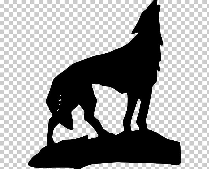Mammal Carnivoran Dog Like Mammal PNG, Clipart, Arctic Wolf, Black, Black And White, Carnivoran, Dog Free PNG Download