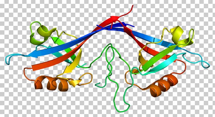Protein Domain Ankyrin Repeat SHANK3 Autism PNG, Clipart, 1 Q, Area, Autism, Autistic Spectrum Disorders, Child Free PNG Download