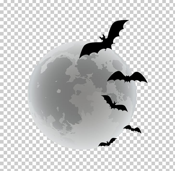 Bat Halloween PNG, Clipart, Animals, Balloon Cartoon, Bird, Black And White, Cartoon Free PNG Download