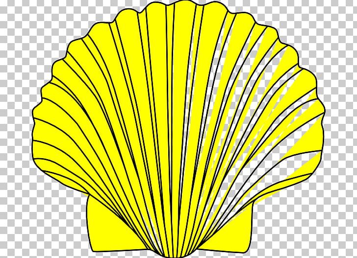 Clam Seashell PNG, Clipart, Clam, Color, Download, Drawing, Flower Free PNG Download