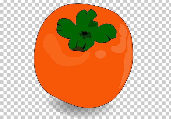 Orange Common Persimmon PNG, Clipart, Apple, Calabaza, Chia, Common Persimmon, Computer Icons Free PNG Download