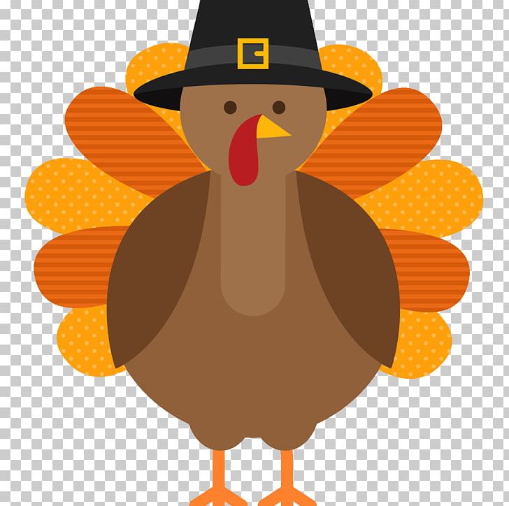 Thanksgiving Turkey PNG, Clipart, Art, Beak, Bird, Chicken, Clip Free PNG Download