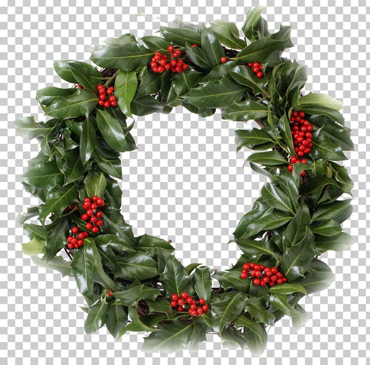 Wreath Christmas Garland Holiday PNG, Clipart, Advent Sunday, Aquifoliaceae, Aquifoliales, Christmas, Christmas And Holiday Season Free PNG Download