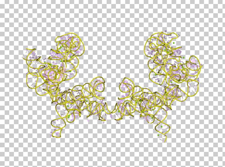 Group I Catalytic Intron Ribozyme RNA Splicing Tetrahymena PNG, Clipart, 3 D, Active Site, Body Jewelry, Catalysis, Chemical Reaction Free PNG Download
