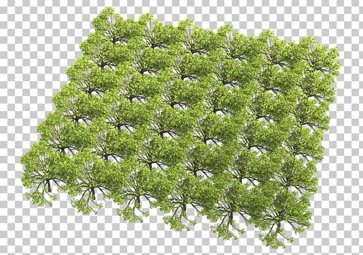 Tree Texture Mapping Color Shrub Geometry Instancing PNG, Clipart, Color, Geometry Instancing, Grass, Instance, Nature Free PNG Download