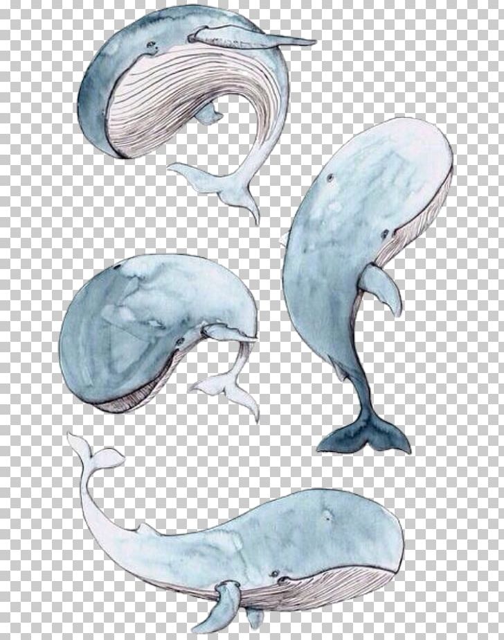 Dolphin Cetacea Drawing Watercolor Painting Printing PNG, Clipart, Animals, Art, Baleen Whale, Blue Whale, Canvas Free PNG Download