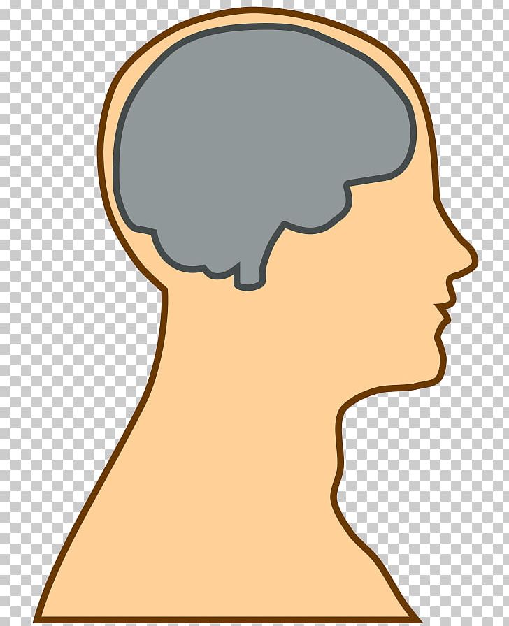 Human Brain PNG, Clipart, Brain, Cheek, Computer Icons, Drawing, Face Free PNG Download