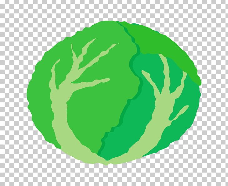 Leaf Vegetable Circle Tree Fruit PNG, Clipart, Circle, Food, Fruit, Grass, Green Free PNG Download