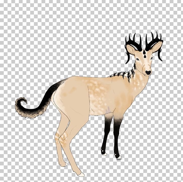 Antelope Deer Goat Horn Wildlife PNG, Clipart, Animal, Animal Figure, Antelope, Antler, Cow Goat Family Free PNG Download