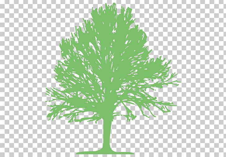Swamp Spanish Oak Tree Computer Icons Lumberjack PNG, Clipart, Branch, Computer Icons, Grass, Green, Leaf Free PNG Download