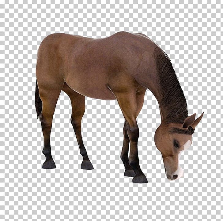 Horse Dog 3D Computer Graphics 3D Modeling PNG, Clipart, 3d Computer Graphics, 3d Modeling, Animal, Animals, Brown Background Free PNG Download