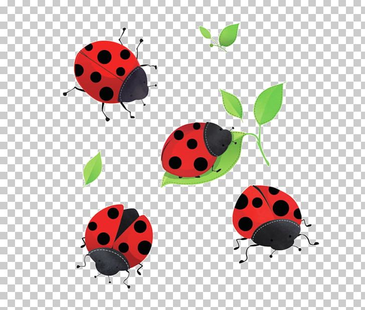 Ladybird Beetle Blog PNG, Clipart, Arthropod, Beetle, Blog, Centerblog, Clip Art Free PNG Download