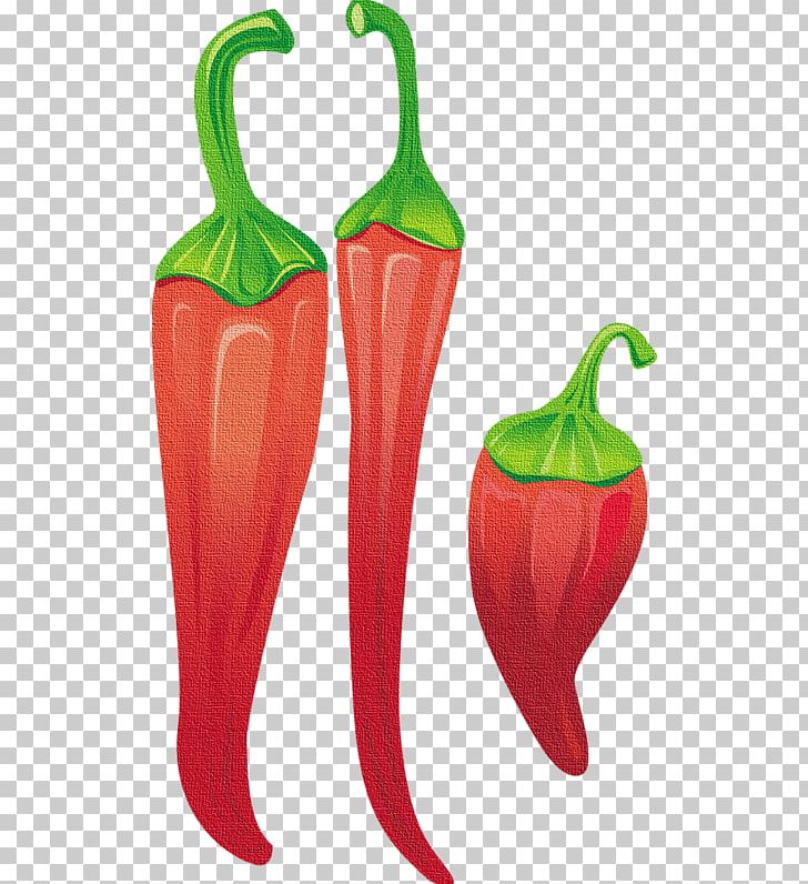 Tabasco Pepper Serrano Pepper Bell Pepper Chili Pepper Fruit PNG, Clipart, Bell Pepper, Cayenne Pepper, Chili Pepper, Food, Food  Free PNG Download