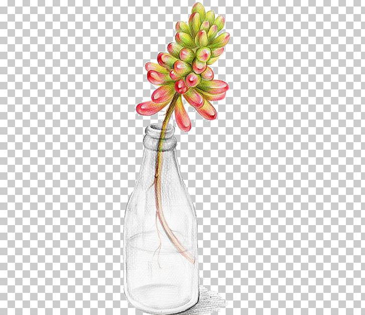 Succulent Plant Watercolor Painting Cactaceae Illustration PNG, Clipart, Alcohol Bottle, Art, Bottles, Champagne Bottle, Creativity Free PNG Download