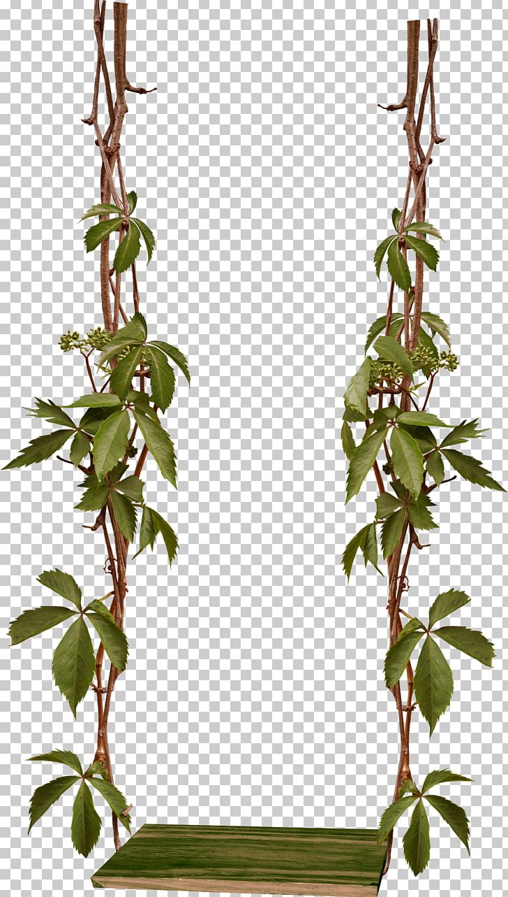 Swing Encapsulated PostScript PNG, Clipart, Branch, Download, Encapsulated Postscript, Flowerpot, Garden Roses Free PNG Download