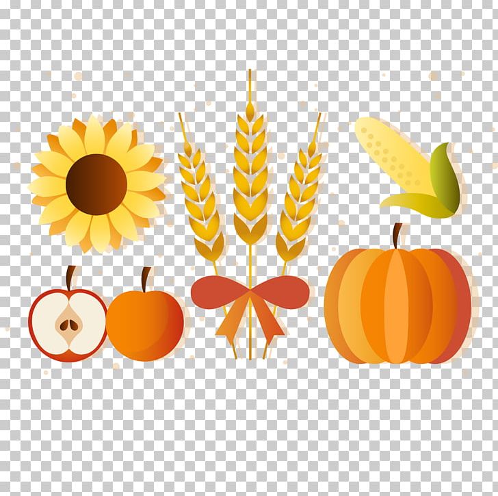 Auglis PNG, Clipart, Apple, Apple Fruit, Auglis, Autumn, Autumn Leaves Free PNG Download