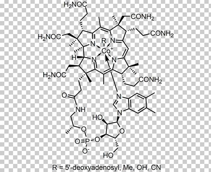 Dietary Supplement Vitamin B-12 Cyanocobalamin B Vitamins PNG, Clipart, Angle, Area, Auto Part, Black And White, B Vitamins Free PNG Download