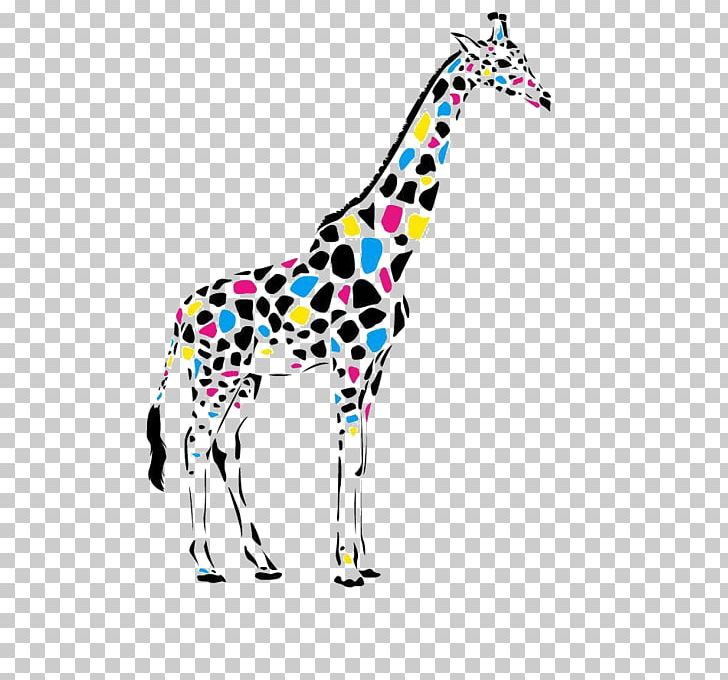 Giraffe Leopard Color Cdr PNG, Clipart, Animal Print, Animals, Cartoon Giraffe, Cmyk Color Model, Colo Free PNG Download