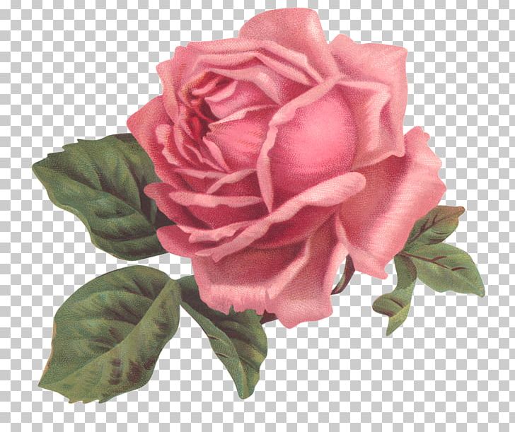 Vintage Clothing Flower Rose PNG, Clipart, Artificial Flower, China Rose, Clothing, Cut Flowers, Decoupage Free PNG Download