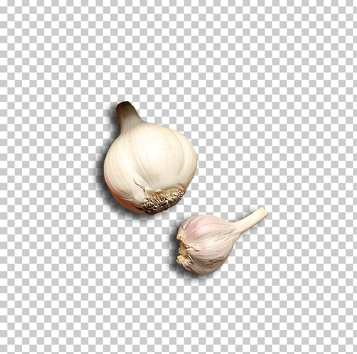 Garlic Vegetable Computer File PNG, Clipart, Cartoon Garlic, Chili Garlic, Download, Euclidean Vector, Food Free PNG Download