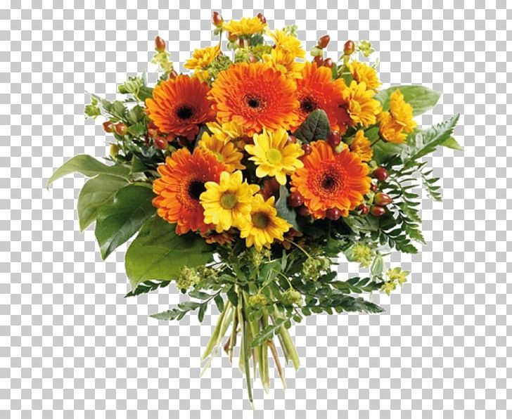 Transvaal Daisy Cut Flowers Flower Bouquet Rose PNG, Clipart, Annual Plant, Artificial Flowers Mala, Chrysanthemum, Chrysanths, Daisy Family Free PNG Download