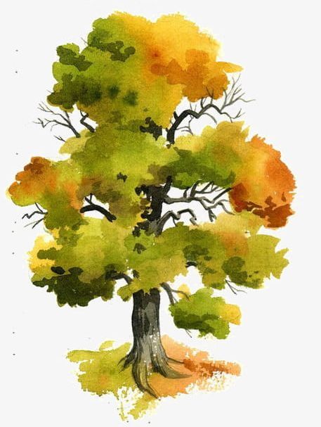 Watercolor Trees PNG, Clipart, Branches, Hand, Hand Painted, Painted, Trees Free PNG Download