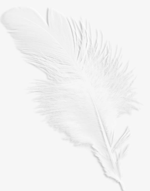 White Feathers PNG, Clipart, Feather, Feathers Clipart, Lovely, Pretty, White Free PNG Download