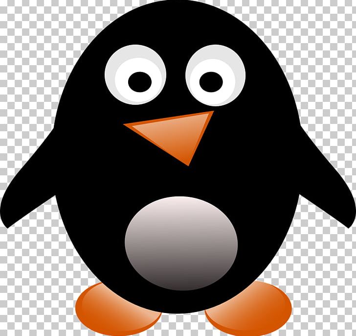 White-flippered Penguin PNG, Clipart, Animals, Beak, Bird, Blog, Download Free PNG Download
