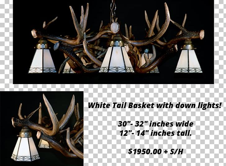 Antler White-tailed Deer Elk Chandelier PNG, Clipart, Animals, Antler, Antlers By Cody, Ceiling, Chandelier Free PNG Download
