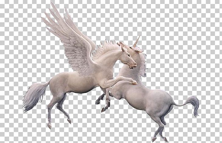 Winged Unicorn Pegasus PNG, Clipart, Fantasy, Fictional Character, Horse, Horse Like Mammal, Mane Free PNG Download
