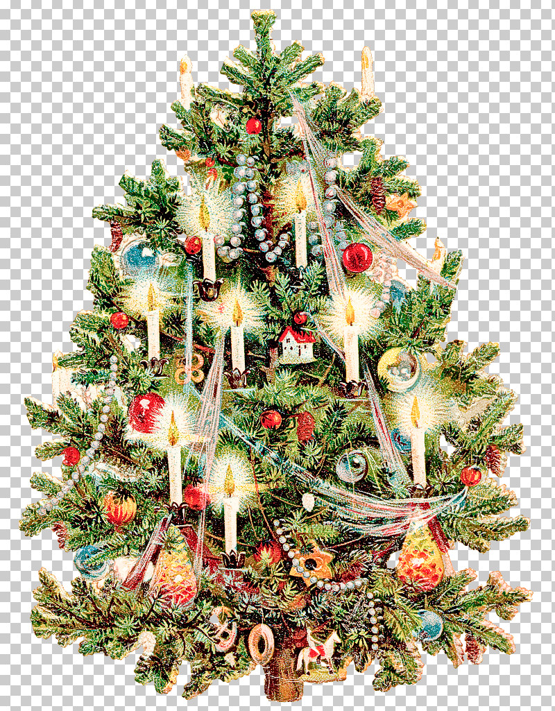 Christmas Tree PNG, Clipart, Christmas, Christmas Decoration, Christmas Ornament, Christmas Tree, Colorado Spruce Free PNG Download